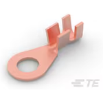 Ring Tongue Terminal 10-11.5AWG 25.3mm 12mm Tin Strip