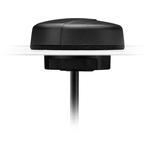 Antenna Cellular -6.3dBi Gain 896MHz/960MHz/1880MHz/1990MHz/2170MHz Bag