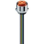 Belden-RKF 30/11-01 null Cable Assembly Circular AWM 1569 0.3m 19AWG 7/8" Circular 2Power/1Ground POS F