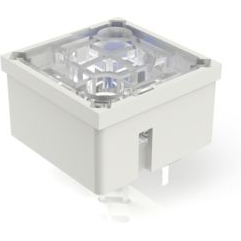 RAFI GmbH & Co. KG-3.14.100.030/0000 Tastschalter Tactile switch, 1 LED spot-illumination, gold contacts