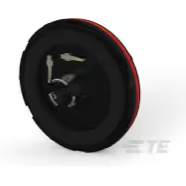 TE Connectivity-1-2336396-2 Lighting Accessories Lighting Accessory, Base Assembly