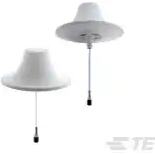 TE Connectivity-CMS38606P-30NF Antena RF and Microwave Antennas