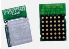 Dynastream Innovations-N550M8CC-REEL Moduli RF Misc RF Module 31-Pin LGA