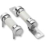 Fuse Cartridge 50A 500V Radial 35 X 11.22 X 19.3mm Fiberglass Tray