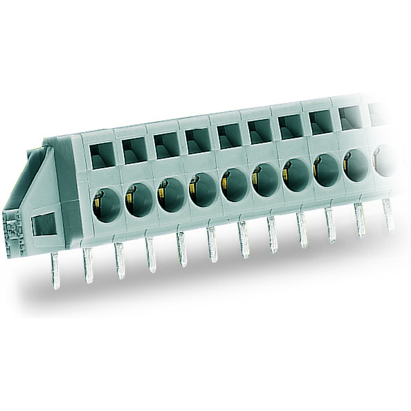 WAGO-231-610/017-000 连接器接线板 Conn PC Terminal Block 10 POS 5mm Solder RA Thru-Hole 15A Box