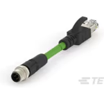 M12 to RJ45 Cable Assembly