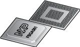 NXP Semiconductors-P1016NXN5BFB 微处理器 MPU QorIQ P1016 RISC 32bit 400MHz 561-Pin TEBGA I Each