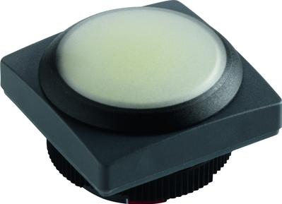 RAFI GmbH & Co. KG-1.30.270.055/2201 Accessoires de commutateur Switch Access Square Operator Push Button Switch Box