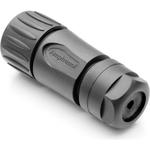 C01620D00320012|SINE|limage