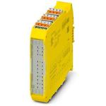 Safe Extension Module for Monitoring