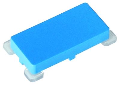 RAFI GmbH & Co. KG-5.55.103.077/1013 Schalterzubehör Switch Access Key Cap Key Switch