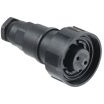 Bulgin Components PLC-PX0736/S 圆形连接器 Standard Buccaneer environmentally sealed power connectors are IP68 & IP69K rated and have been designed into a wide range of markets such as Industrial, Automotive and Marine