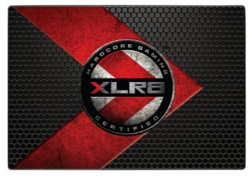 PNY Technologies-SSD7CS2211-480-RB Solid State-Laufwerke Gamer/Enthusiast SSD