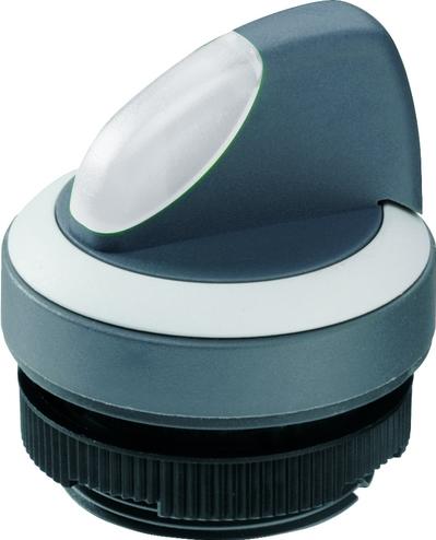 RAFI GmbH & Co. KG-1.30.272.301/2207 Schalterzubehör Switch Access Round Operator Selector Switch Box