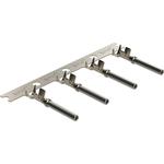 AT62200122|SINE|limage