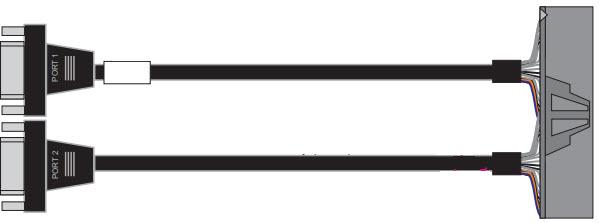 Connect Tech Inc-CBG121 Assemblage de câble autre 20-Pin Minitek to 2x DB9M