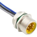 Bulgin Components PLC-PXMBNI78FPM05AFL78002 null Cable Assembly Circular 0.2m 16-20AWG 7/8" Circular 5 Straight Bulk