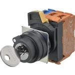 Switch Key Lock N.O./N.C. DPST 90° Flat Key 440VAC 240VDC Screw 500000Cycles Panel Mount