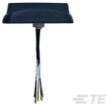 Antenna with Termination SMA