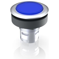 RAFI GmbH & Co. KG-1.30.090.012/1600 Schalterzubehör Switch Access Round Operator Push Button Switch Box