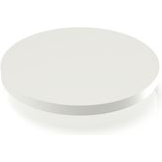 RAFI GmbH & Co. KG-5.46.168.227/0209 Schalterzubehör Switch Access Round Plunger Key Switch