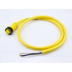 Cable Assembly Circular 1.83m 16AWG Mini Change 2 Straight