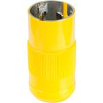 50A 125V PLUG, LOCKING