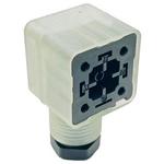 Belden-GDM21F6-V24 Ventilzubehör Valve Access Connector Polyamide Transparent