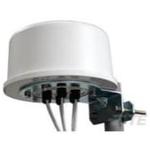 Antenna MIMO 4.8dBi Gain 2500MHz/5875MHz