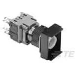 TE Connectivity-3-1437569-4 Switch Push Button Switch Push Button N.O./N.C. DPST Rectangular Button 5A 250VAC 24VDC 0.4VA Momentary Panel Mount Solder Lug