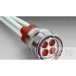 Standard Circular Connector RECP ASSY