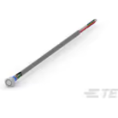 TE Connectivity-AV2220EG12T5Q04 Interruttore a pressione Push Button Switches