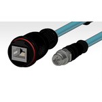 Micro-Change (M12) to Standard RJ-45 Double-Ended Cordset
