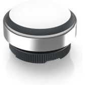 RAFI GmbH & Co. KG-1.30.280.001/2201 Schalterzubehör Switch Access Round Operator Push Button Switch Box