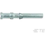 T2020002005-000