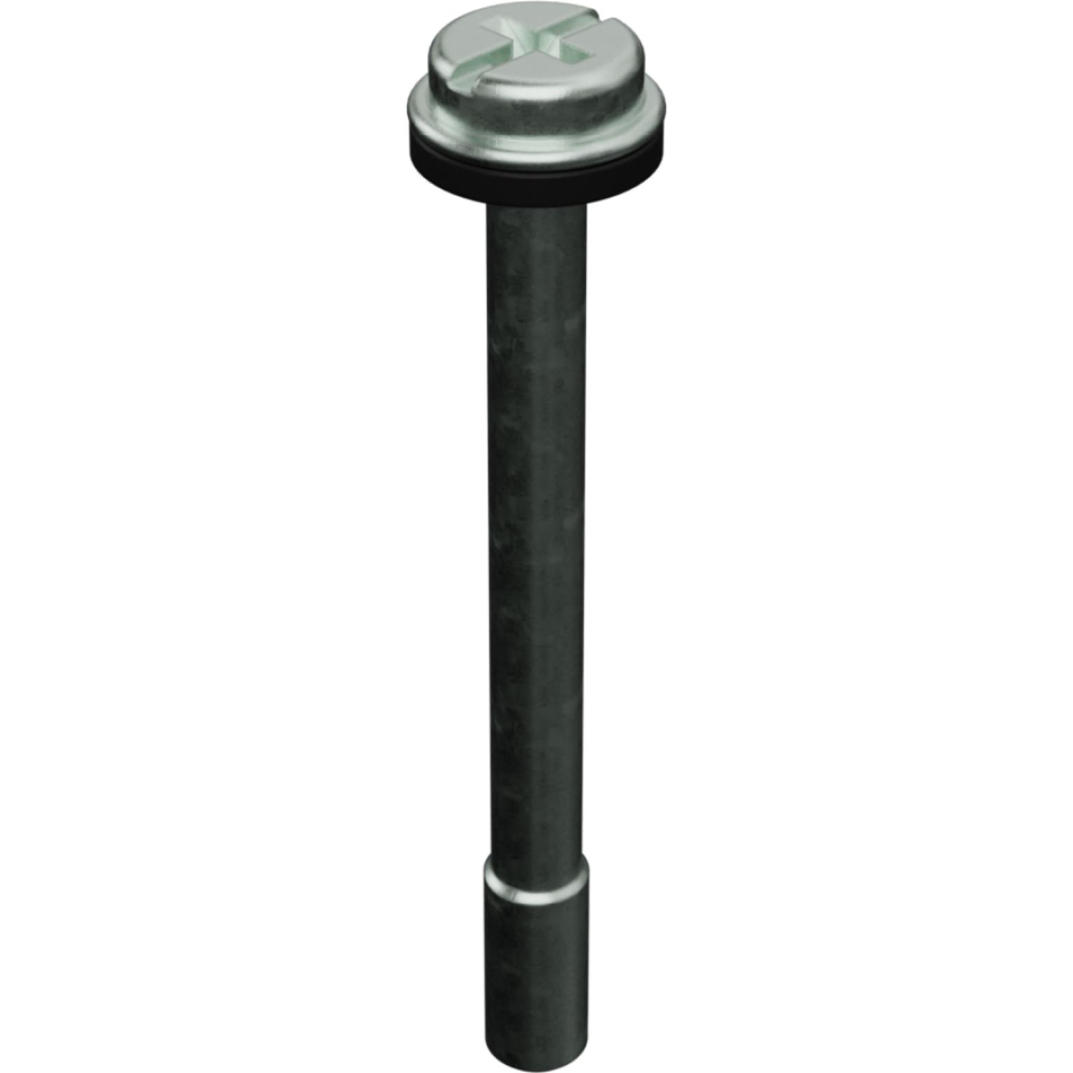 Molex-1211290069 Valve Accessories Valve Access Screw Steel