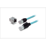TM21P-88P