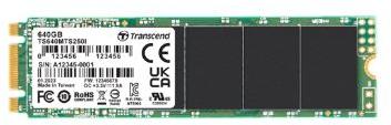 Transcend Information-TS320GMTS250I Solid State-Laufwerke SATA III M.2 SSDs