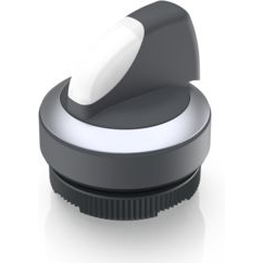 RAFI GmbH & Co. KG-1.30.272.202/2200 Schalterzubehör Switch Access Round Operator Selector Switch