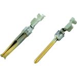 VN0101500471|SINE|limage