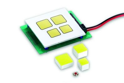 RAFI GmbH & Co. KG-5.05.511.470/2500 Accessori interruttori Switch Access Square Plunger Key Switch