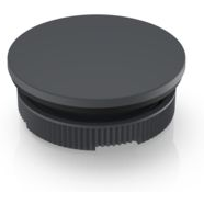 RAFI GmbH & Co. KG-5.05.800.067/0000 Accesorios del interruptor Switch Access Round Blank Cap