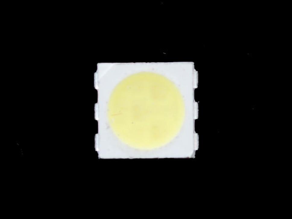 Adafruit Industries-682 DEL SMT Cool White 5050 LED - 10 pack - 6500-7000K