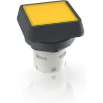 RAFI GmbH & Co. KG-1.30.070.001/1403 Schalterzubehör Switch Access Square Operator Push Button Switch Box