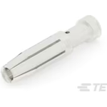 T2030032025-000 T2030032025-000