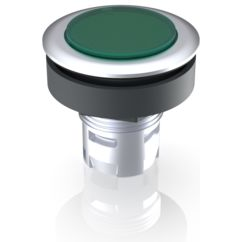 RAFI GmbH & Co. KG-1.65.126.011/1500 Schalterzubehör Switch Access Round Operator Pilot Light Switch Box