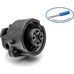 C01620G00310012|SINE|limage