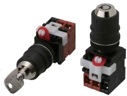 Omron-A22TK-2LR-11-K06 Verrouillage à clé de commutateur Switch Key Lock N.O./N.C. DPST 90° Tubular Key 10A 440VAC 380VDC Screw 100000Cycles Panel Mount