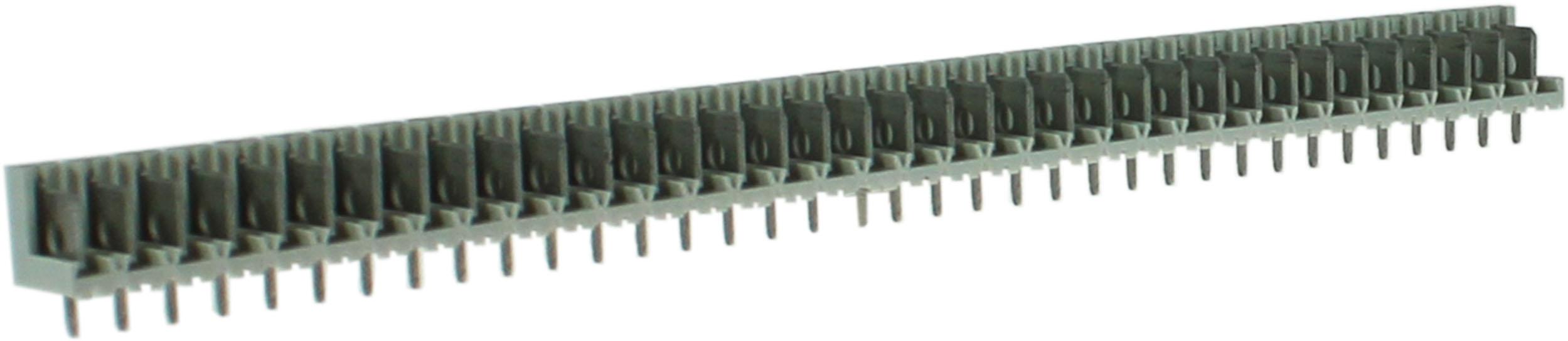 CamdenBoss Ltd-CTB7300/36M Steckverbinder Conn Power M 36 POS 5mm Screw ST Cable Mount 36 Terminal 1 Port