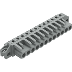 232-242/031-000